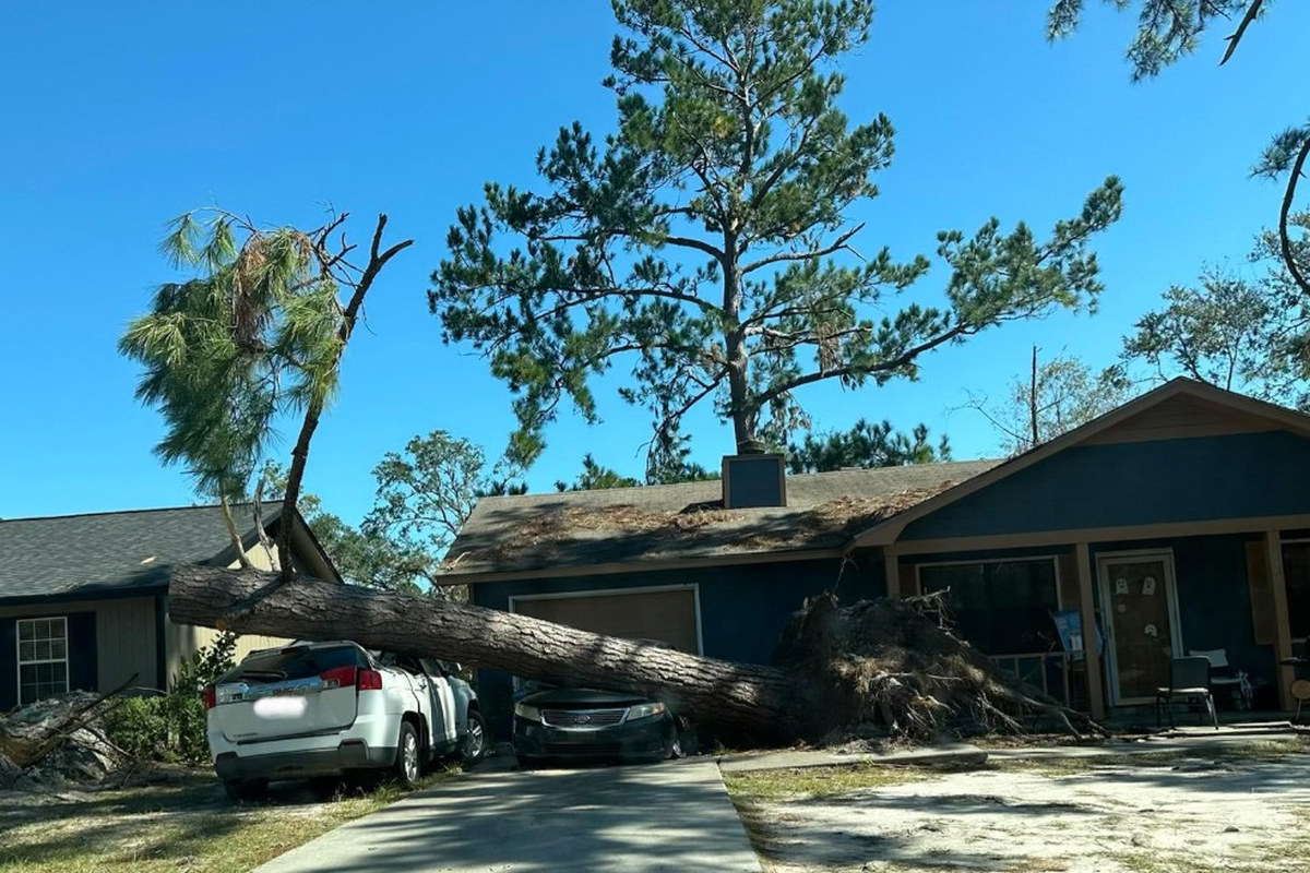 Fallen Tree on Cars & Driveway Removal | Warm Home Inc Emergency tree removal — uprooted pine tree fallen across a driveway onto parked cars after a storm | Warm Home Inc