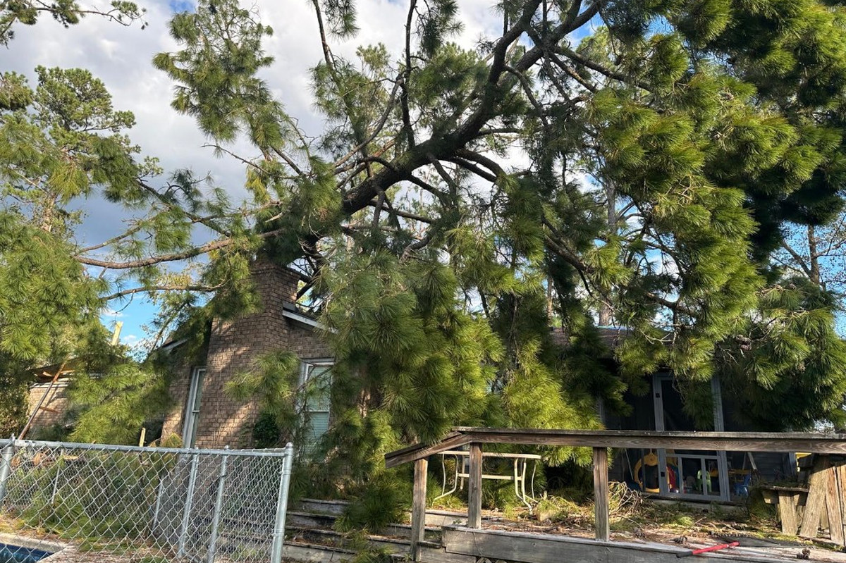 Fallen Pine on Roof & Deck Tree Removal | Warm Home Inc Emergency storm tree removal — large fallen pine tree resting on a brick house roof, chimney, and wooden deck | Warm Home Inc