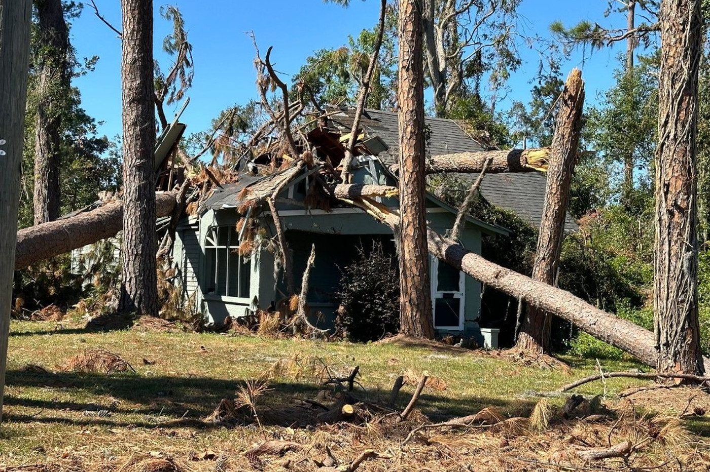 Fallen Tree on House Storm Tree Removal | Warm Home Inc Emergency storm tree removal — large pine trees crushed onto a residential roof and porch after a storm, showing why fallen tree on house cleanup needs professional response | Warm Home Inc