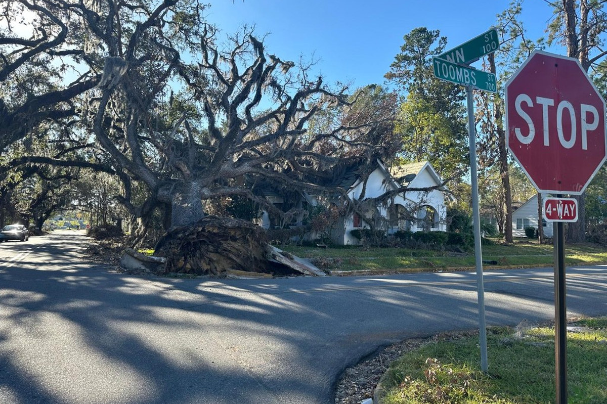 Uprooted Tree on House Emergency Removal | Warm Home Inc Emergency tree removal — massive uprooted live oak with Spanish moss fallen onto a white house and torn-up street, stop sign at the intersection | Warm Home Inc